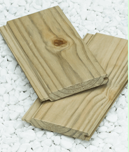 Pinus Frontal